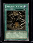 Corridor of Agony