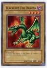 Blackland Fire Dragon