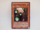 Royal Magical Library