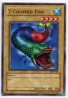 7 Colored Fish