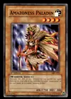 Amazoness Paladin
