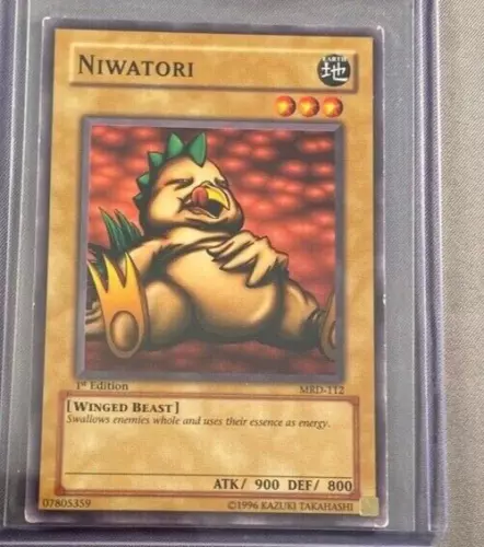 Niwatori