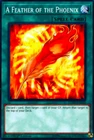 A Feather of the Phoenix