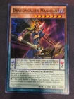 Dragoncaller Magician