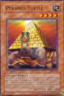 Pyramid Turtle