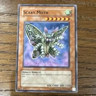 Sand Moth