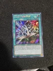 Blue-Eyes Toon Dragon