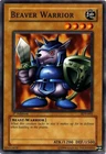 Beaver Warrior