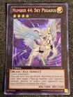 Number 44: Sky Pegasus