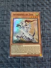 Swordsoul of Taia