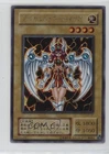 Dark Paladin