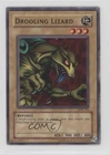Drooling Lizard