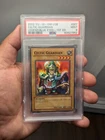 Celtic Guardian