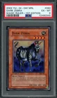 Dark Zebra