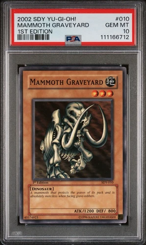 Mammoth Graveyard