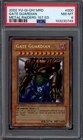 Gate Guardian