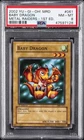 Baby Dragon