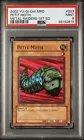 Petit Moth