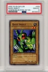 Basic Insect