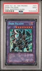 Dark Paladin