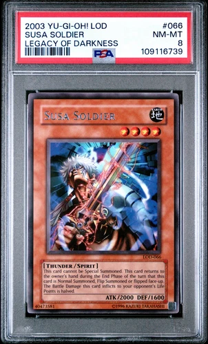 Susa Soldier