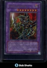 Dark Paladin