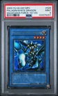 Paladin of White Dragon