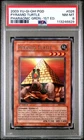 Pyramid Turtle