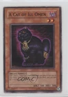 A Cat of Ill Omen