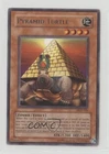 Pyramid Turtle