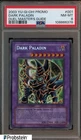 Dark Paladin