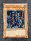 Kaiser Sea Horse