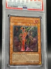 Blast Magician