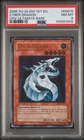Cyber Dragon
