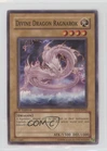 Divine Dragon Ragnarok