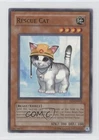 Rescue Cat