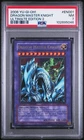 Dragon Master Knight