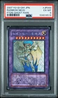 Rainbow Neos