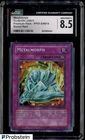 Metalmorph
