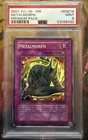 Metalmorph