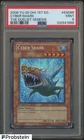 Cyber Shark