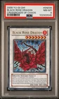 Black Rose Dragon
