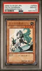 Celtic Guardian