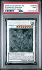 Stardust Dragon