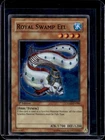 Royal Swamp Eel