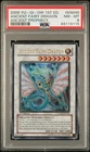 Ancient Fairy Dragon