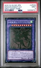 Dragon Knight Draco-Equiste