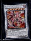 Blizzard Dragon