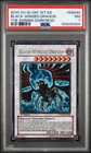 Black-Winged Dragon