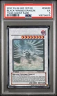 Black-Winged Dragon